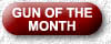Gun of the Month